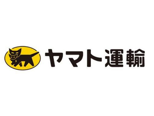 中日航线物流